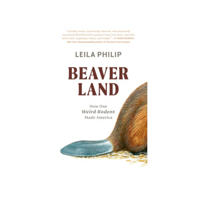 Beaver Land